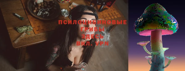 apvp Михайловск