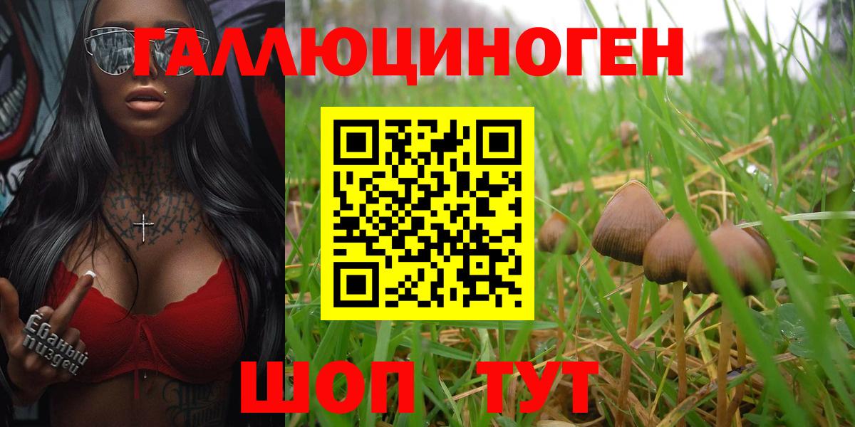 Сыктывкар  Псилоцибиновые грибы MAGIC MUSHROOMS  Галлюциногенные грибы Magic Shrooms  Вход с VPN 
